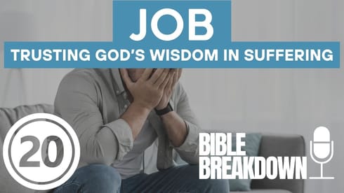 Job 20: Sin Has a Price Tag