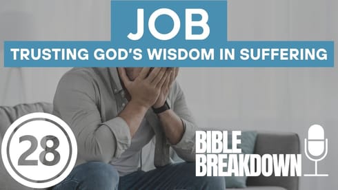 Job 28: God Knows The Way