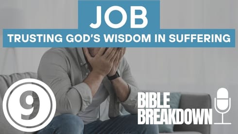 Job 09: God is Not Your Enemy