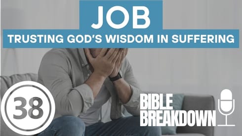 Job 38: God Enters the Conversation