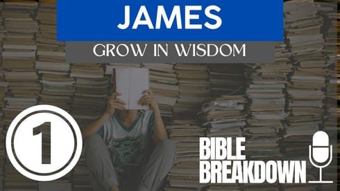 Jame 01: Keep Calm and Grow On