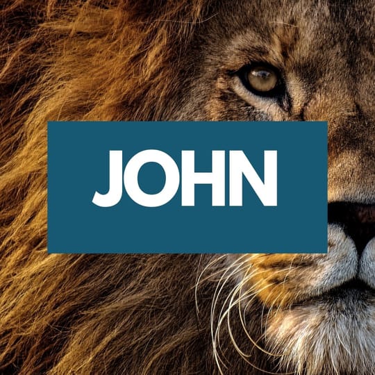 John 01: Logos, Johnny-B, and Sitting Under a Tree